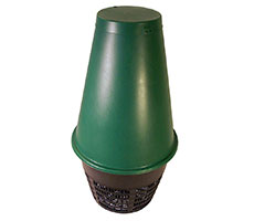 Green%20Cone